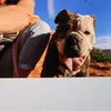 Deborah@Callie Adventure - @deborahcallie.adv - TikTok