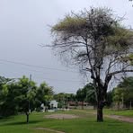 DEborah Campos - Facebook