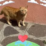 Deborah Canfield - @canfield4990 - Instagram
