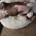 Deborah Carey - Facebook