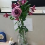 Deborah Carson - @carson_deborah - Instagram