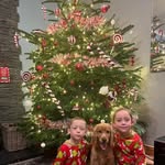 Deborah Carson - @deborahcarson65 - Instagram