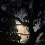 Deborah Carson - @carsonds4148 - Instagram