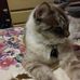 Deborah Cartwright - Facebook