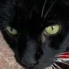 deborahchilds36 - @deborahchilds36 - TikTok