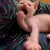 Deborah Christine Li - @debcatskittenslamarina - TikTok