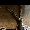 DeborahcChristine - @deborahcchristine - TikTok