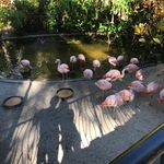 Deborah S. Chung - @dschung2 - Instagram