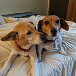 Deborah Cipolla-Dennis - @parkininparadise - Instagram