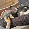 Deborah Cirillo - @donnasolare78 - TikTok