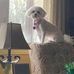 Debbie McCutcheon-Clapham - Facebook