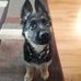 Debra J Clapham - Facebook