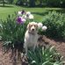 Debbie Clatterbuck Brady - Facebook