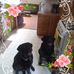 Debbie Holmes Claypool - Facebook