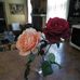 Deborah Cleary - Facebook
