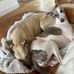 Deborah Clifton - Facebook