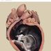 Deborah Coco - Facebook