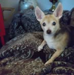Deborah Codrington - Facebook