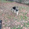 Deborah Cody - @deborah.cody - TikTok