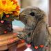 Debbie Coffelt - Facebook