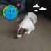 Debra Coffelt - Facebook