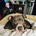 Debbie Colston - Facebook
