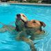 Deborah Colucci - Facebook