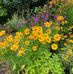 Deborah Comer - Facebook