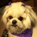 Debbie Harrold Comstock - Facebook