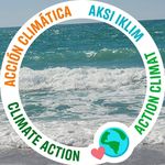 Deborah Comstock-Willcox - @comstockwillcox - Instagram