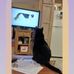 Debra Conrad - Facebook