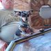 Deborah Conway - Facebook