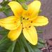 Debbie Corcoran - Facebook