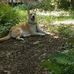 Deborah Cornwell - Facebook
