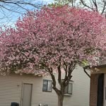 Debra Cornwell Kehrer - @g67wfc - Instagram