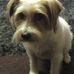 Debbie Cotter - Facebook
