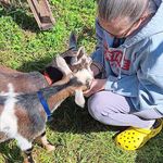 Deborah Chaney Cotterell - @deborahcotterell - Instagram