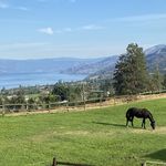 Deborah Cotter - @upper5farm - Instagram