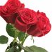 Deborah Cottle - Facebook