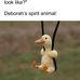 Deborah Hogan-Craven - Facebook
