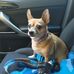 Deborah Credle - Facebook