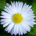 Deborah M Creque - Facebook