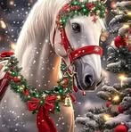 Debbie Cregger - Facebook