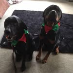 Debra Cropper - @debra81168 - Instagram