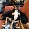 deborahcrow742 - @deborahcrow742 - TikTok