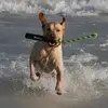 Deb Crowson - @deb.crowson - TikTok