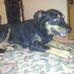Deborah Crumpler - Facebook