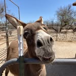 Deborah Cuda - @cudafamily - Instagram