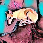 Deborah Cuddy - @debkroth - Instagram
