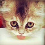 Debra Culpepper - @idealeory - Instagram